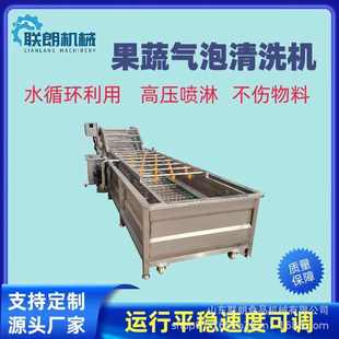 商用果蔬气泡清洗机柠檬番石榴高压喷淋清洗设备净菜深加工清洗机