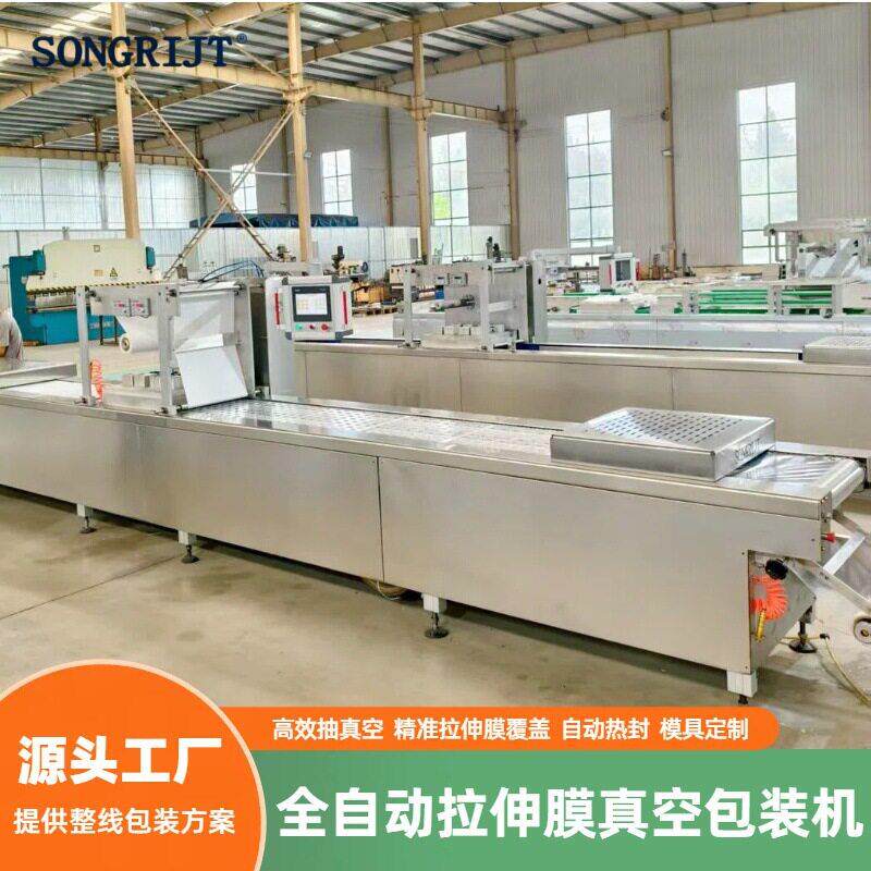 牛肉干牛肉粒全自动连续拉伸膜真空包装机320420520真空包装机