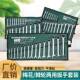 轮M&棘扳汽手梅花开口两用扳手套装 工具梅花叉口快速棘轮329板手6