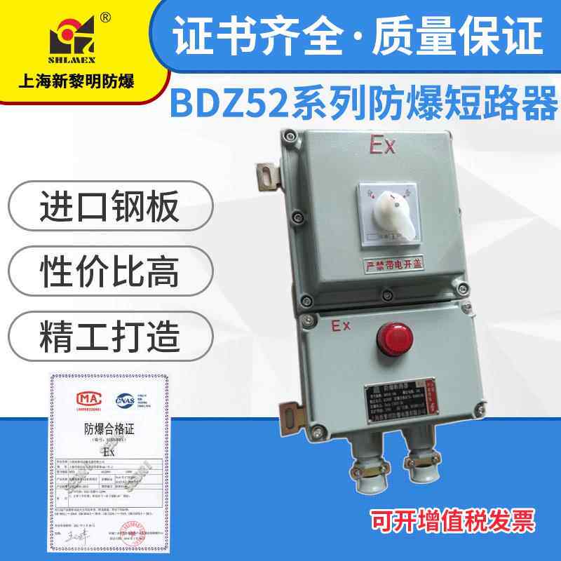 防爆断路器空气开关漏保控制箱 BDZ52-40A 新黎明防爆断路器