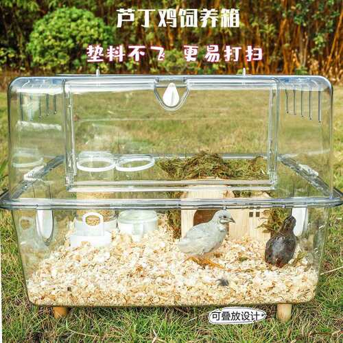 透明亚克力仓鼠笼金丝熊刺猬通心粉花枝鼠双子芦丁鸡饲养箱43