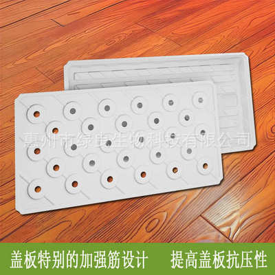 多孔水培箱种植箱无土栽培阳台种菜玉米茶苗水稻小麦苗培育箱定制