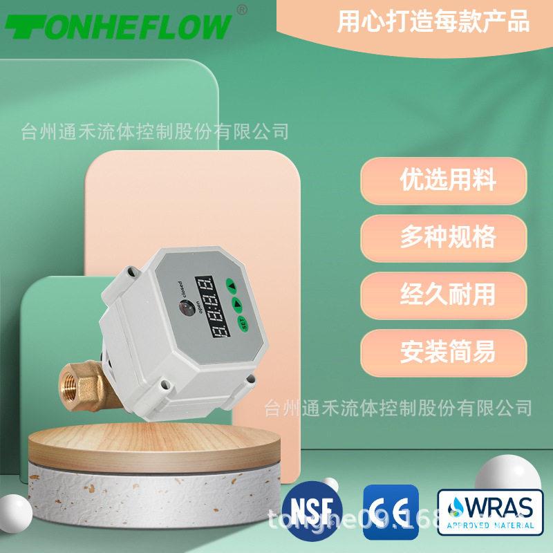 2分黄铜供应净水器定时自动排污电动球阀循环排水防阻定时阀DN8