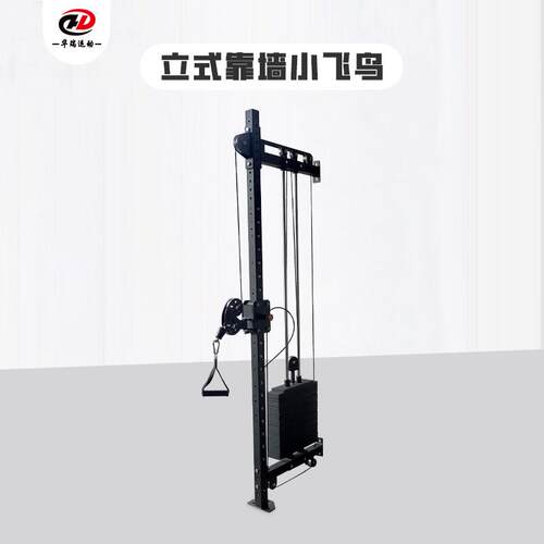 立式靠墙小飞鸟综合训练器多功能健身器材背肌训练器坚固结实