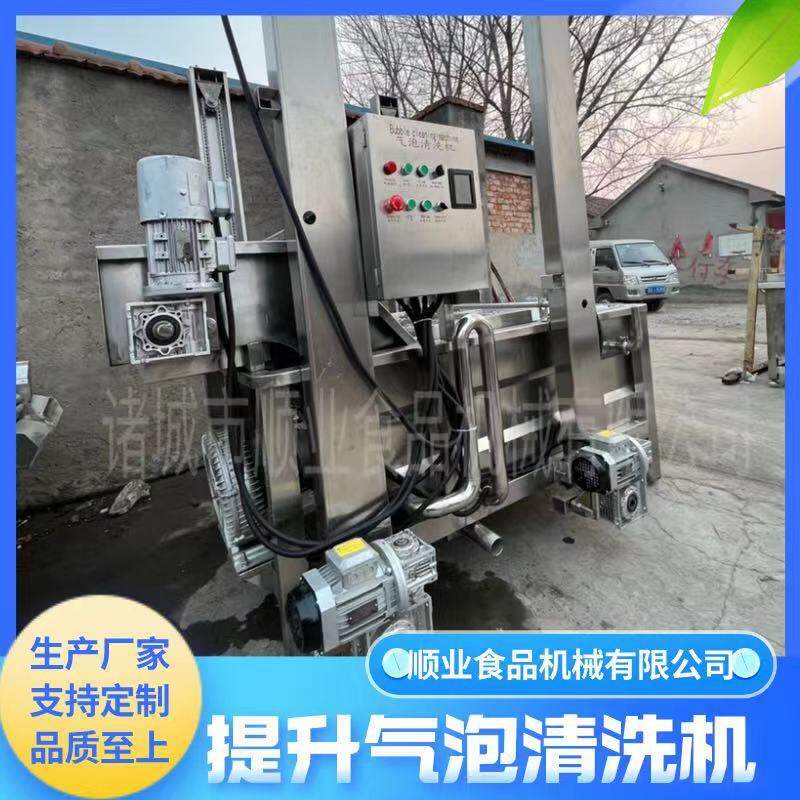 蔬菜气泡清洗机 提升式黄桃清洗机 全自动酸豆角木耳清洗机机