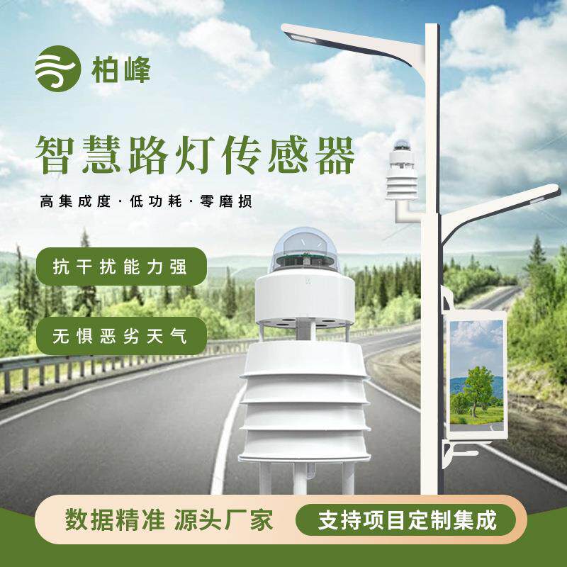 智慧城市气象环境监测智慧路灯气象传感器全天候户外气象监测仪