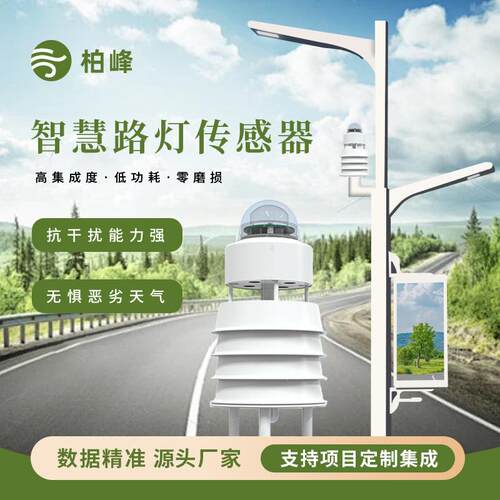 智慧城市气象环境监测智慧路灯气象传感器全天候户外气象监测仪