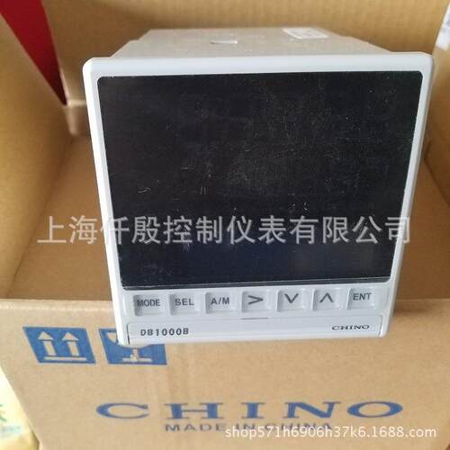 调节仪DB1020B000-G0A大华温控器可调式精准高温报警