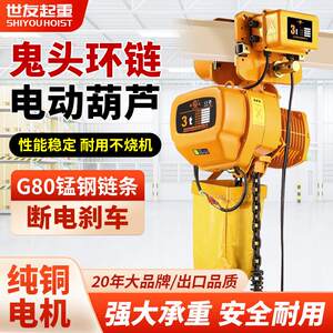 世友环炼电动吊车380v鬼头炼条式家用提升机1/2/3吨行车起重吊机