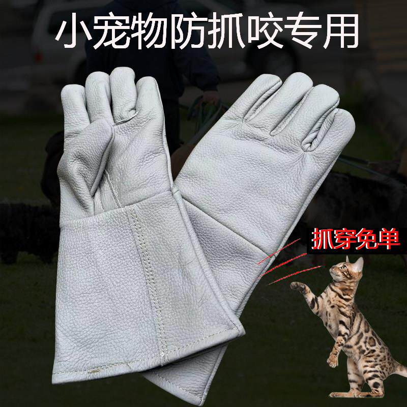 新款仓鼠防咬手套防狗咬抓猫咪逗猫牛皮加厚防咬鹦鹉狐狸雪雕老鹰