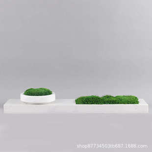 花盆花绿摆件大理石器天然中式售楼部盆栽现代茶几花瓶植青苔植物