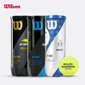 威尔胜us open美网/大师赛训练比赛用球wilson tour高级训练网球