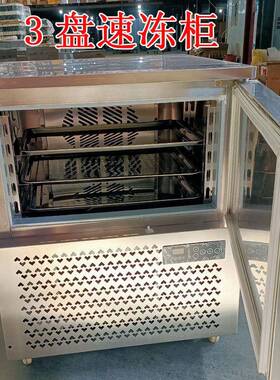 速冻柜零下45度包子油条海鲜水饺冷冻冰箱冷藏柜商用立式急冻锁鲜