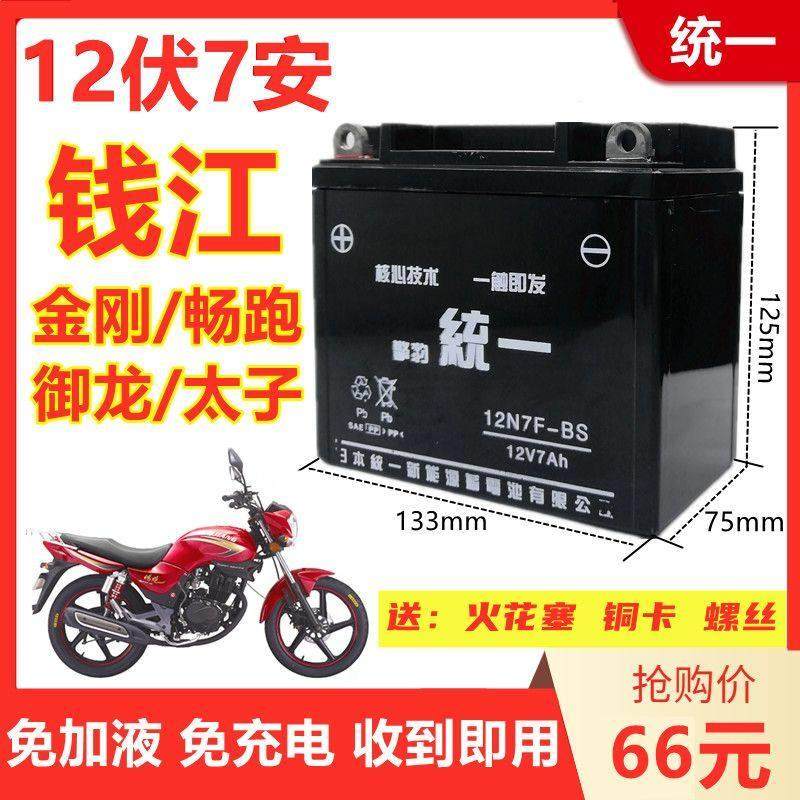 钱江金刚御龙畅跑祥龙125/150机车统一免维护蓄电池12V7A干 干电