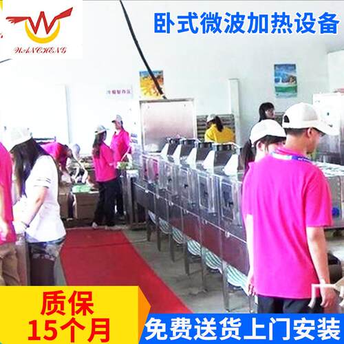 厂家供应卧式微波加热设备CNWB-60Y小型微波加热设备食品级