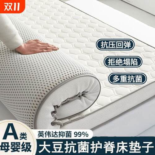四季床垫遮盖物家用软垫租房专用榻榻米垫子宿舍学生单人褥子加厚