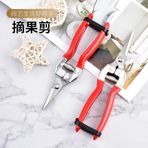 厂家现货 不锈钢剪刀园林工具 修树枝摘水果剪刀园艺花枝剪刀