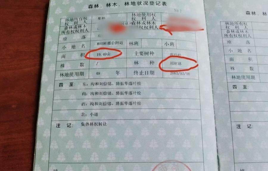 1月29日双鸭山104.77亩成熟用材林网络拍卖公告