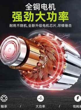 德芝轻电锤电镐电钻小浦型家用大功率型工业级冲击钻OLR混凝土轻