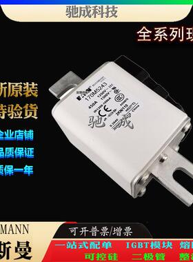 巴斯曼170M5248 170M5249 170M5250 现货直销销售价优 高速熔断器