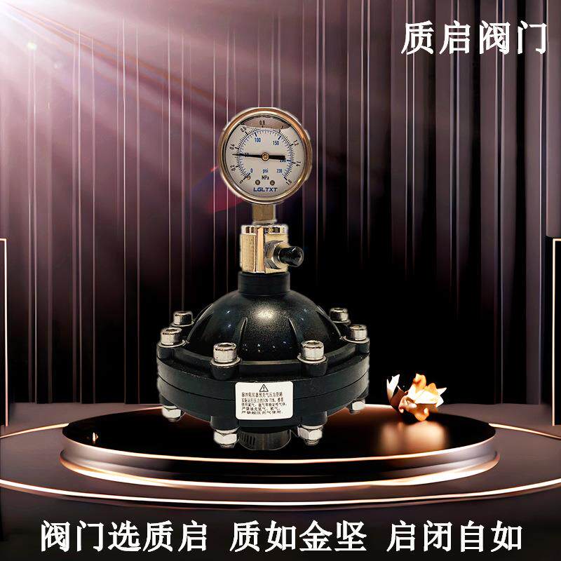 膜片式环保脉冲阻尼器防抖动UPVC脉动计量泵用附件塑料隔膜缓冲罐