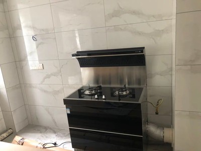 奥田M3集成灶坑不坑用？质量坑不坑?近期想买