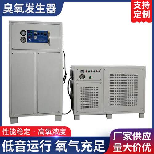 工厂臭氧发生器高浓度臭氧发生器不锈钢烤漆臭氧发生器