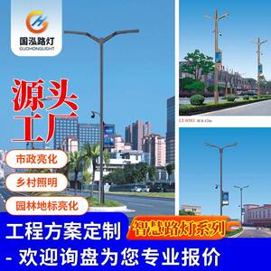 国林地标亮化路灯厂家加工户外智慧路灯工程市政道路照明灯