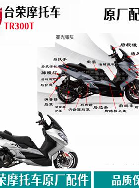 台荣TR300T机车全车壳塑料件后照镜护板挡风玻璃包围板原厂配件