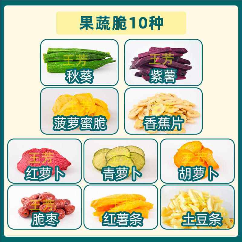 全机自动商真空冻干用冻干水果饮菌品菇水产FD低温冻结真空冻冷干