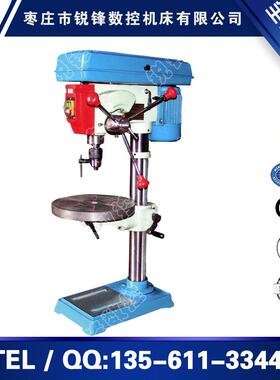 供应ZS-19GA钻攻两用机钻攻机小型钻攻机床台式钻床小台钻