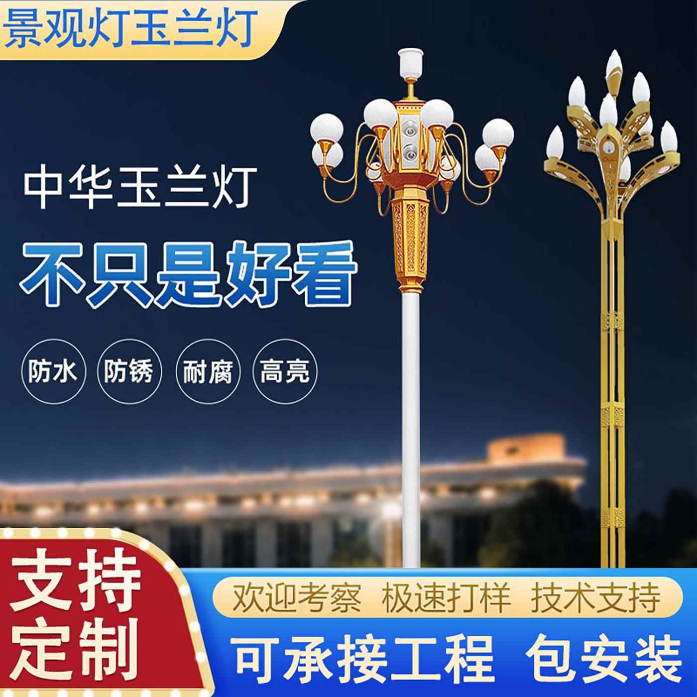 户外道路景观灯玉照兰灯市政广工程L8ED中华灯大型场明灯IAC612米