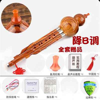 正品葫芦丝孔乐器小学生F专用C调B调D调G防摔儿调童初学者7孔8楠