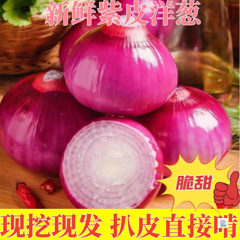 水果洋葱甜味生吃新鲜紫皮洋葱9斤洋葱头小圆葱毛葱红洋葱
