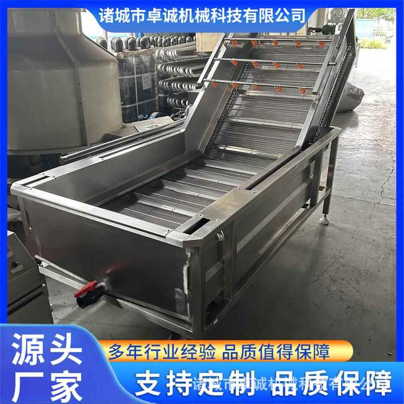 商用全自动果蔬气泡清洗机中药材清洗设备水果蔬菜清洗风干流水