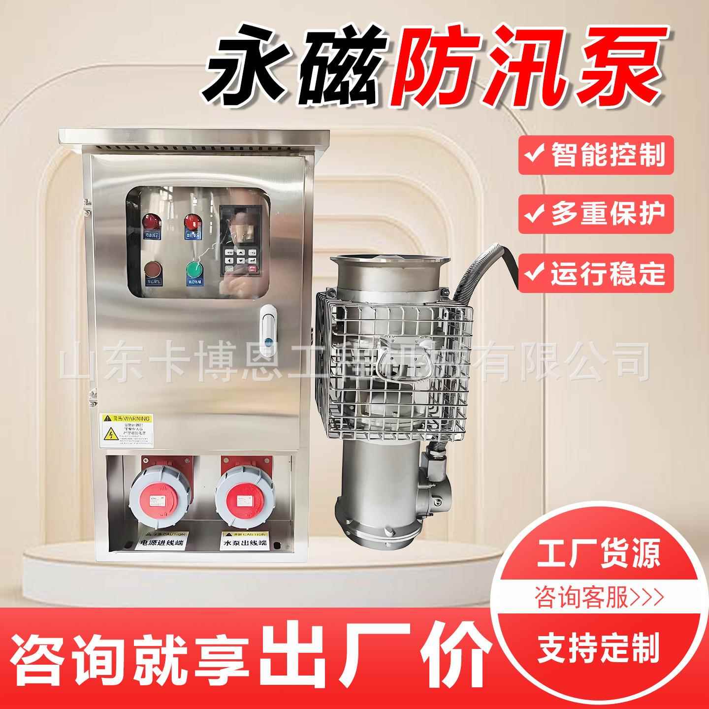 变频永磁防汛泵不锈钢15KWK22KW37KW45KW永磁泵排涝防洪潜污泵