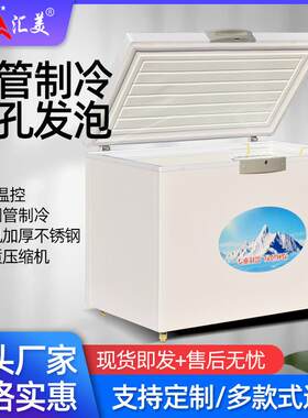 卧式冰柜家用小型冷冻柜水饺鲜肉雪糕冷速冻柜超市冰柜商用