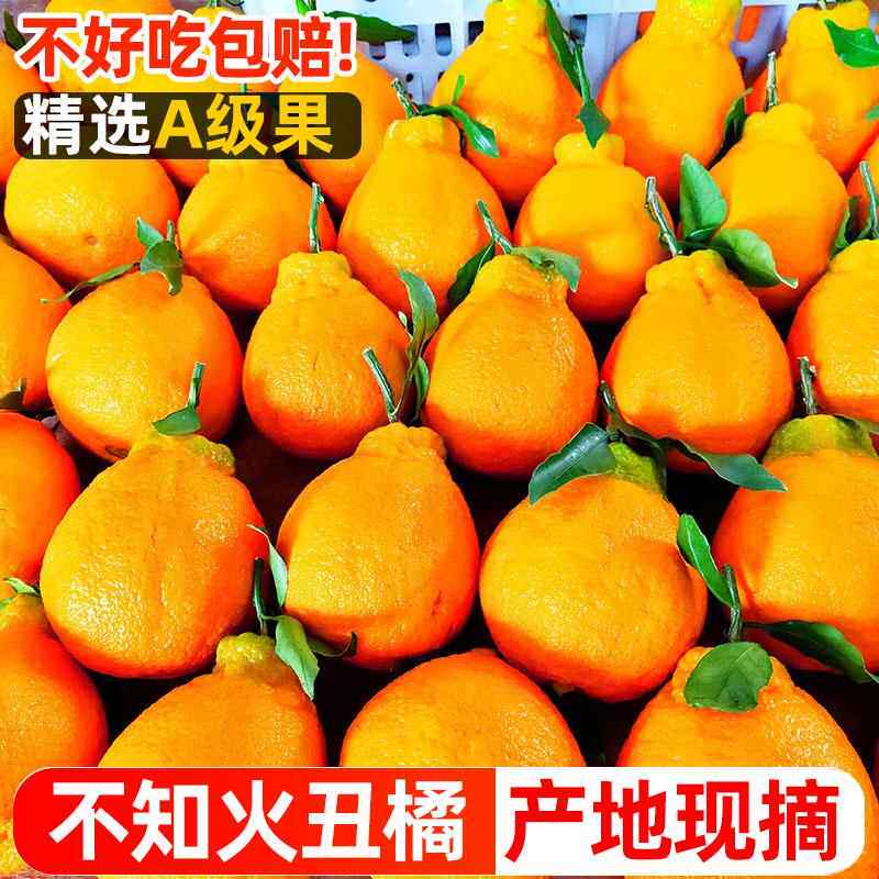 不知火丑橘10斤新鲜水果当季整箱包邮丑八怪橘子粑粑蜜桔子柑橘桔