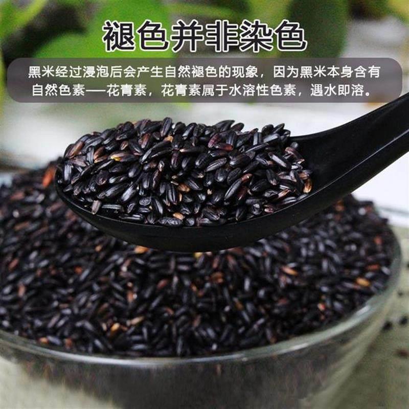 永祥龙当季新米黑龙江黑米东北农家种植黑糙米五古杂粮营养煮粥米
