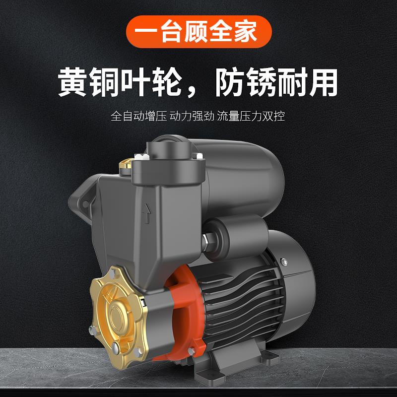 利欧LKSm自吸水泵增压泵家用全自动自来水加压泵水塔上水抽水泵