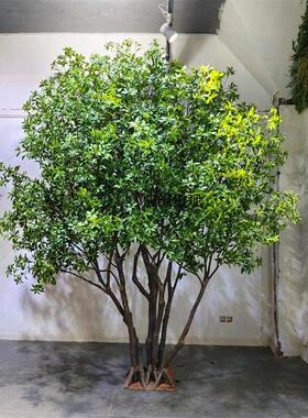 仿真马醉木人造景观假绿植庭院别墅茶室商场装饰假马醉木树摆件