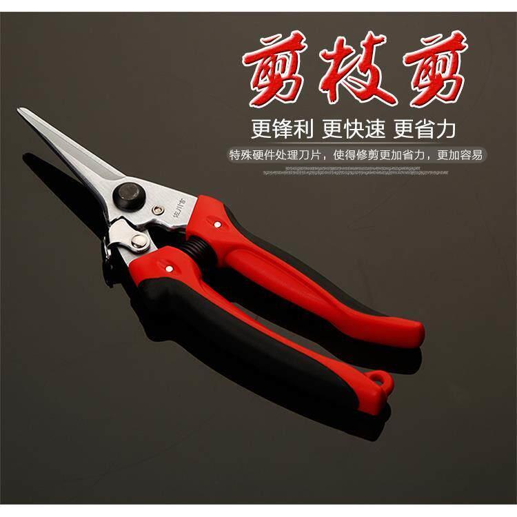 台湾佐川吉多功能葡萄花艺修花剪刀修枝剪园艺园林摘果剪782