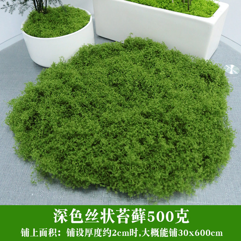仿真青苔藓草坪造景绿植物墙人造微景观盆景假草皮假苔藓装饰铺面