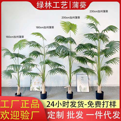 北欧热带加州蒲葵仿真绿植盆栽 客厅落地圆叶扇葵树绿植盆景摆件