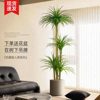 客厅摆件高端大气上档次绿植龙血树仿真轻奢装饰树室内大型盆栽花
