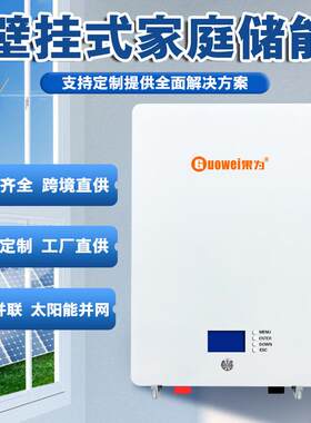 51.2V100Ah200Ah壁挂5度10度家庭储能磷酸铁锂电池太阳能光伏电源
