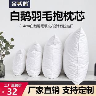 鹅毛羽绒抱枕芯羽毛靠垫芯酒店沙发靠背腰垫办公室腰靠床头大靠枕