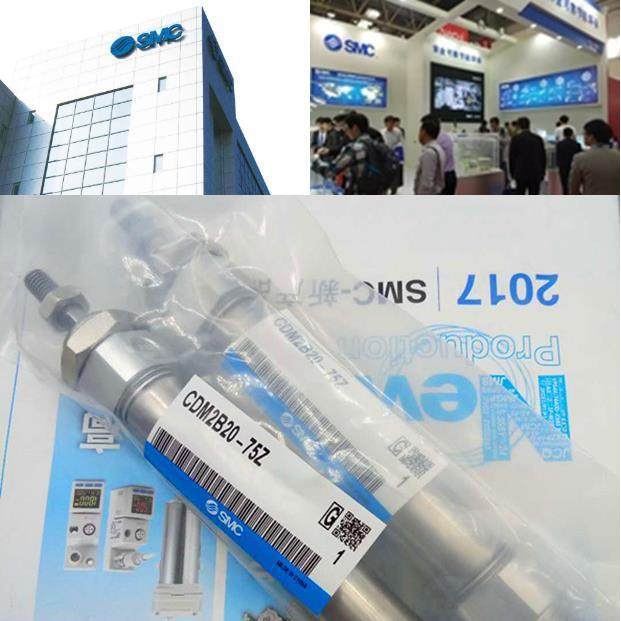 SMC原不锈钢迷你长1行程气缸C/DM2B32-500/600700/800/90无品牌/