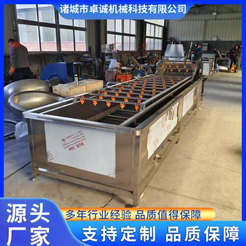 全自动果蔬气泡清洗机豆角莴苣压喷淋清洗线芦笋气泡清洗机