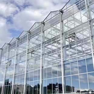阳光板智能温室种植棚蔬菜花卉农业展览观光大棚玻璃温室大棚安装